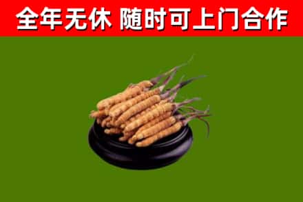 昌都市烟酒回收冬虫夏草.jpg