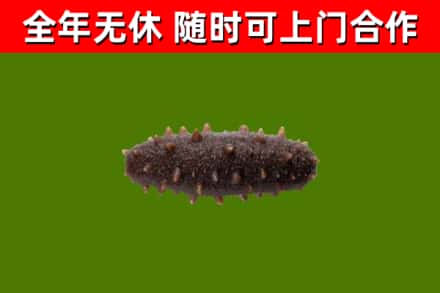 昌都市烟酒回收干海参.jpg